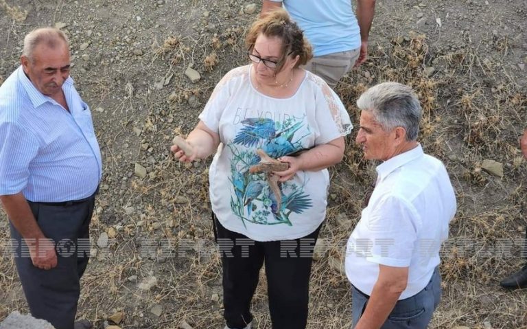 Cəlilabadda Neolit dövrünə aid arxeoloji obyekt aşkar olunub-FOTO