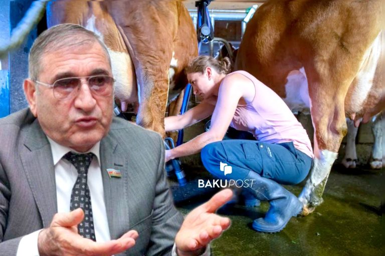 “Kəndlərimizdə cavan qızlar inək sağa, cavan oğlanlar su sulaya bilmirlər…”-Deputat+VİDEO