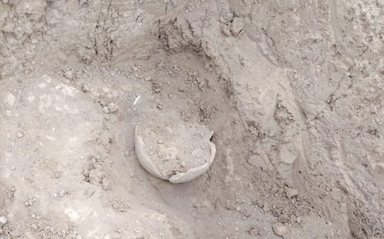 Cəlilabadda yeni tarixi abidə aşkarlandı – FOTO