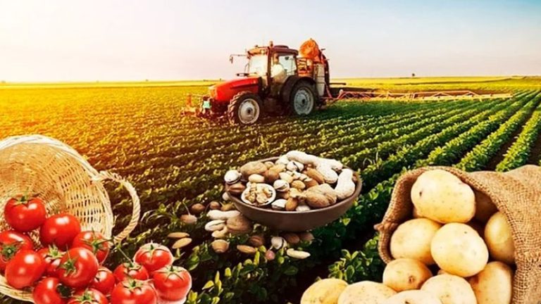 Payız və qış aylarında hansı kənd təsərrüfatı məhsulları bahalaşacaq? – Ekspert