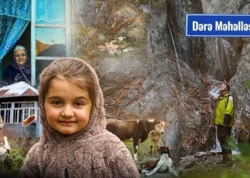 Heç kimin xəstələnmədiyi, dörd ailənin yaşadığı kənddən videoreportaj