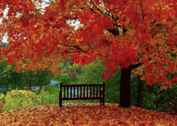 Sabah hava necə keçəcək?