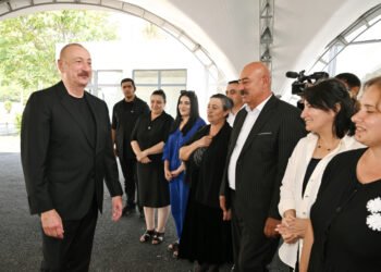 Siyasətin, hərbi gücün uğurlu nəticəsi