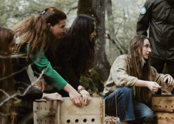 Prezident ailəsinin Lənkərandan maraqlı – FOTOLAR