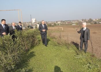 İcra başçısı kəndlərdə yaşıllaşdırma işlərinə baxış keçirdi – FOTOLAR