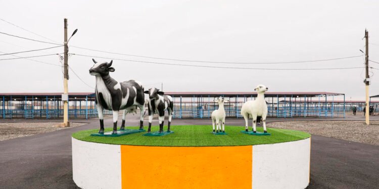 Xəstəliyə görə bağlanan Bərdə heyvan bazarı açılır - VİDEO