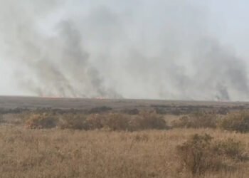 Cəlilabaddakı yanğın söndürüldü – Yenilənib -VİDEO