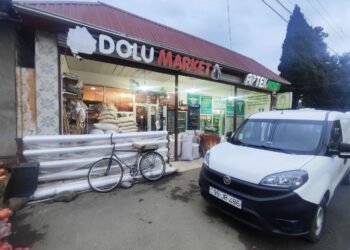 Astarada “Dolu” marketdə istehlaka yararsız məhsullar aşkarlandı – FOTOLAR