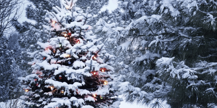 İlin son günü hava necə olacaq?