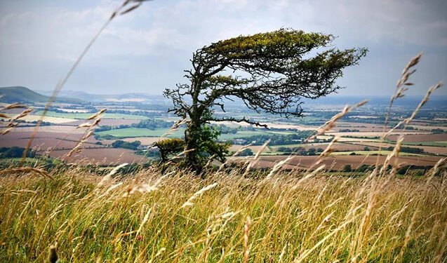 Küləklə bağlı XƏBƏRDARLIQ