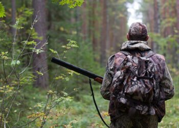 Bu gündən ov qadağan olunur
