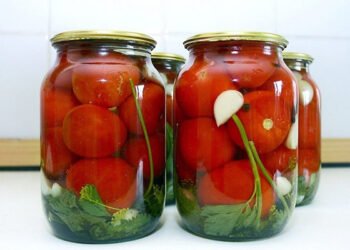 Bir ailənin 4 üzvü turşudan ZƏHƏRLƏNDİ