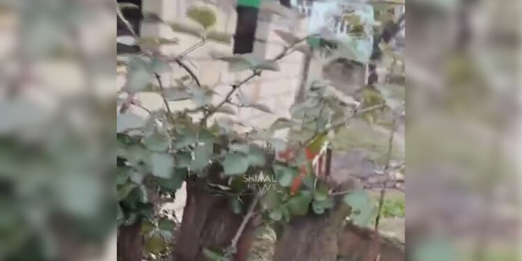 Kirayədə qaldığı evin sahibini öldürüb üstündə it damı tikdir - VİDEO