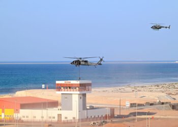 Azərbaycan və BƏƏ hərbçiləri təlim məşqində – VİDEO