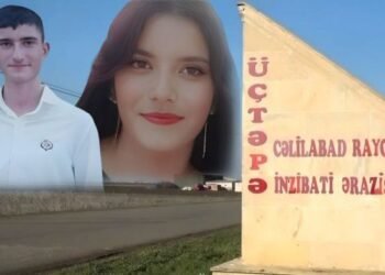 Cəlilabadda qardaşı uşaqlarını baltalayan şəxsin ölüm səbəbi bilindi - Açıqlama