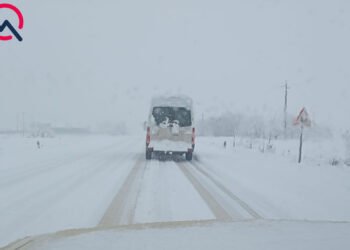 Güclü qar Cəlilabad və Biləuvarda fəsadlara səbəb oldu - FOTOLAR