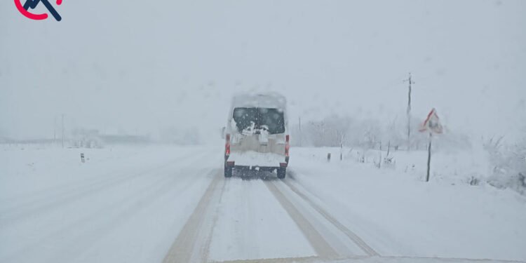 Güclü qar Cəlilabad və Biləuvarda fəsadlara səbəb oldu - FOTOLAR