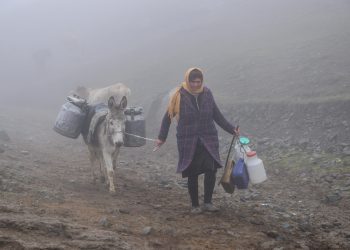 Şəmkirin bu kəndində sakinlər bulaqdan su daşıyır - FOTOLAR