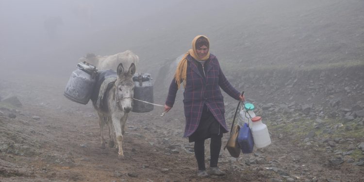 Şəmkirin bu kəndində sakinlər bulaqdan su daşıyır - FOTOLAR