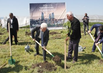 Cəlilabadda ağacəkmə və təmizlik aksiyası keçirildi - FOTOLAR