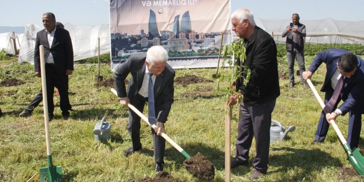 Cəlilabadda ağacəkmə və təmizlik aksiyası keçirildi - FOTOLAR