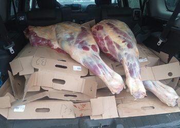 At ətini Biləsuvardan Bakıda gətirmək istəyənlərin əməli ifşa edildi – FOTO