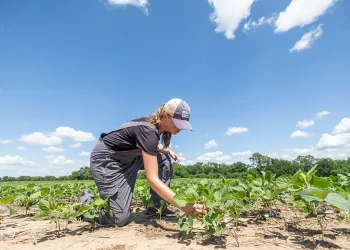 Azərbaycanda qadın fermerlərin sayı AÇIQLANDI – FOTO