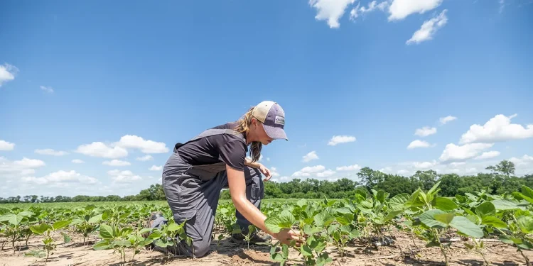 Azərbaycanda qadın fermerlərin sayı AÇIQLANDI - FOTO