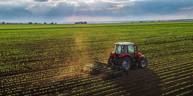 Qaxda örüş sahəsi sakinlərin əllərindən alınıb? - Şikayət - VİDEO