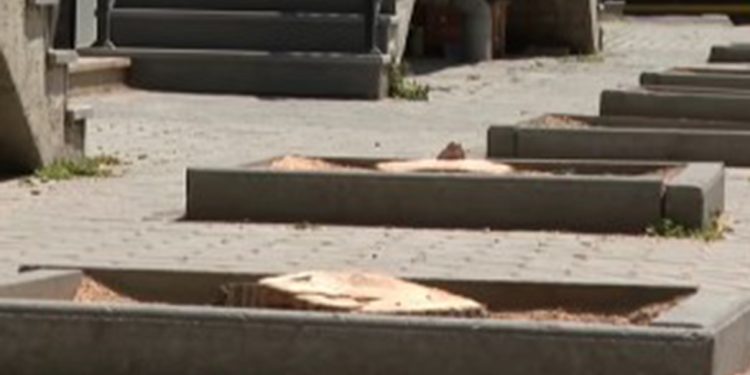 Bakıda ağacları kim kəsib? - VİDEO