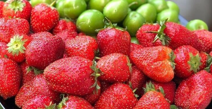 Fermerlər zərər içində: Çiyələk və alça bu il baha ola bilər - VİDEO