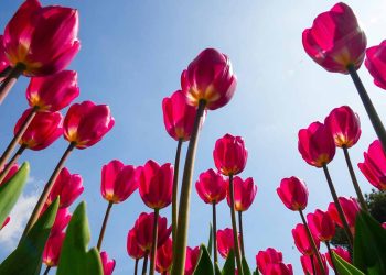 Sabah hava necə olacaq?