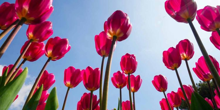 Sabah hava necə olacaq?