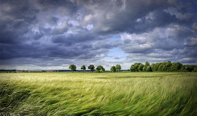 Güclü külək əsir - Faktiki hava