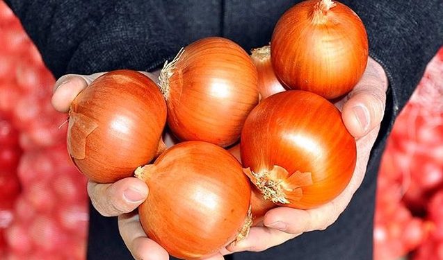 "Nə var idisə, hamısı məhv oldu..." - Tovuzlu fermerlər fəryad edir - VİDEO