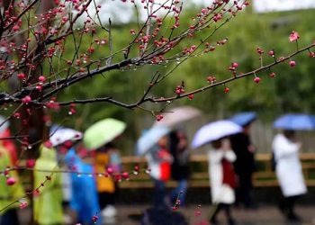 Yağış yağacaq - Sabahın havası