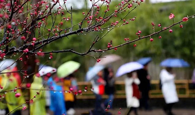 Yağış yağacaq - Sabahın havası