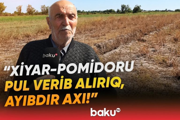 Əkin sahələri susuzluqdan məhv olan sakinlər şikayətçidir – VİDEO