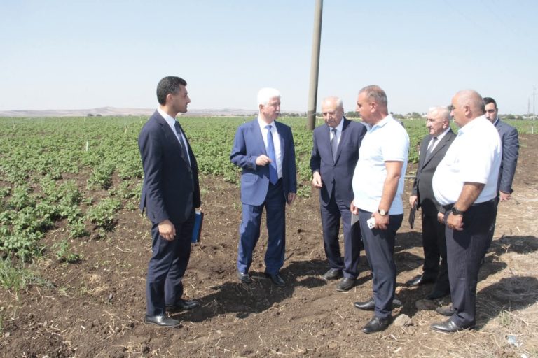Cəlilabadda kənd təsərrüfatının inkişafına dair görüş keçirildi – FOTOLAR