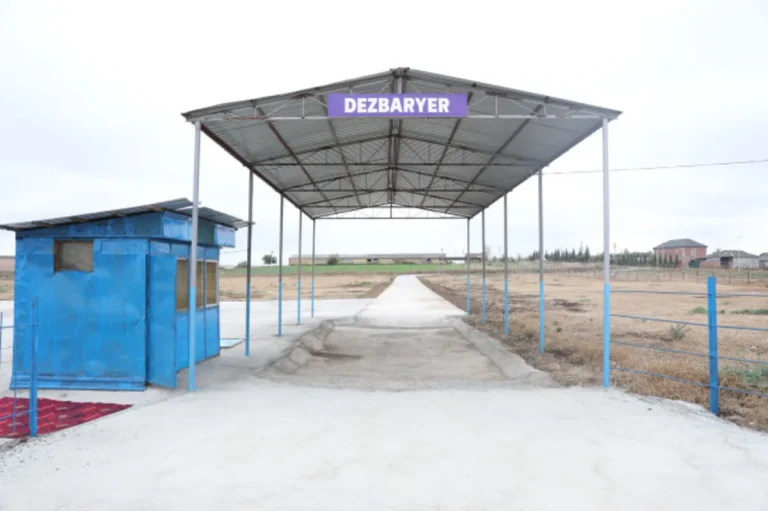 Cəlilabadda heyvan bazarının fəaliyyətinə icazə verildi – FOTOLAR